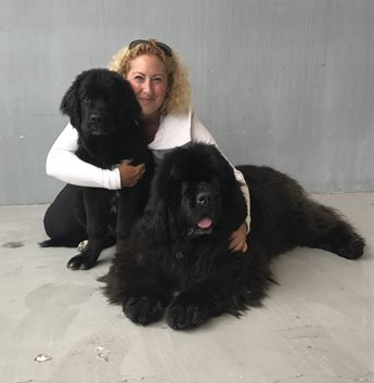 Lighty with dogs
